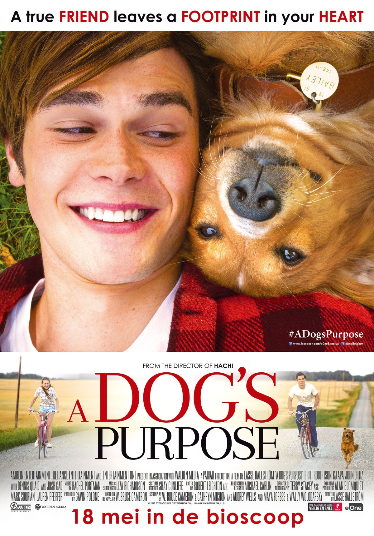 A Dog's Purpose - VPRO Cinema - VPRO Gids